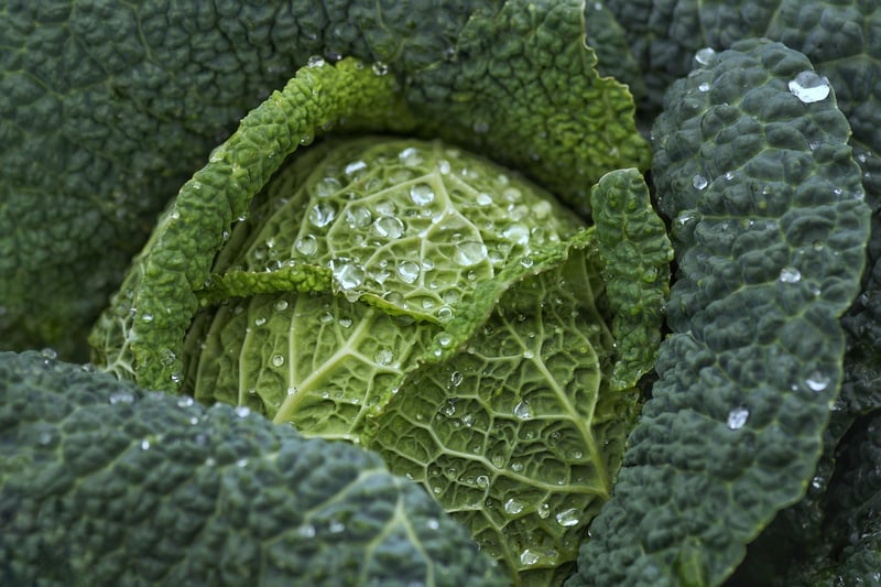 Leafy Greens